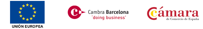 TICCámaras program of the Barcelona Chamber of Commerce